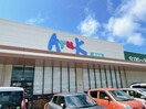 アルク恩田店(スーパー)まで1358m ヴィラージュ則貞