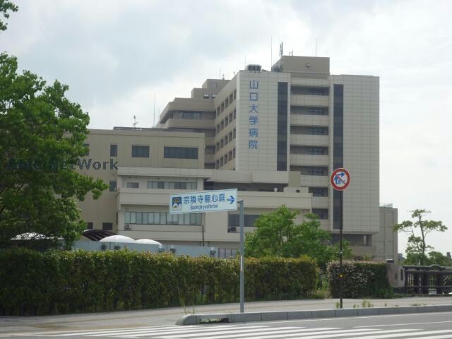 国立大学法人山口大学医学部(大学/短大/専門学校)まで1671m ファニーベルⅡ
