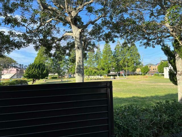  ファニーベルⅡ