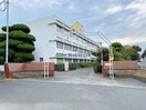 宇部市立恩田小学校(小学校)まで1681m※校区は市役所にご確認ください シャーメゾン　コーナス