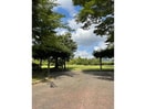 紫式部公園(公園)まで1791m パインロード　Ⅲ