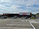 albisさばえ鳥羽店(スーパー)まで190m グレイスコートＫ