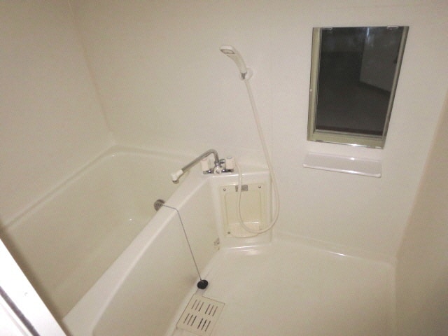  バードウィング・セルバ Ｂ