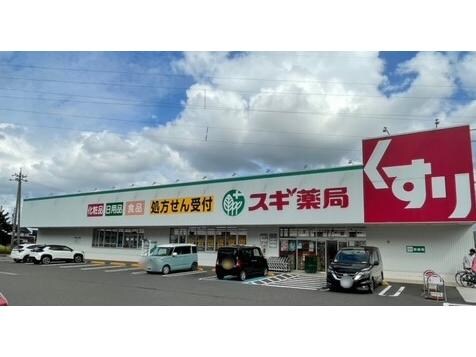 スギ薬局武生南店(ドラッグストア)まで2085m フォーブルのむら