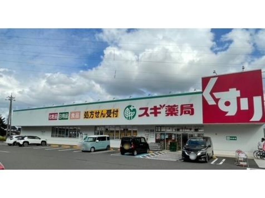 スギ薬局武生南店(ドラッグストア)まで298m ドルチェ・ビータ　Ⅱ