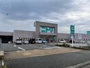 ニトリ越前店(電気量販店/ホームセンター)まで702m アンドロイ　アンソレイユB