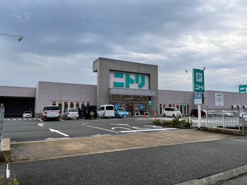 ニトリ越前店(電気量販店/ホームセンター)まで702m アンドロイ　アンソレイユB