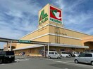 アル・プラザ鯖江(スーパー)まで898m サンライフ・イン鯖江A