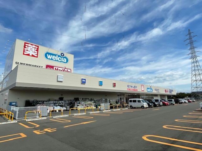ウエルシア鯖江上河端町店(ドラッグストア)まで1888m サージェ林Ⅲ A