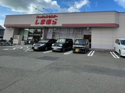 ファッションセンターしまむら武生店(ショッピングセンター/アウトレットモール)まで2556m WingsB