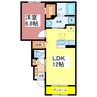 ララ・セゾン 1LDKの間取り