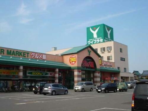 ワイプラザグルメ館福井南店(スーパー)まで507m パーク　マリッチ