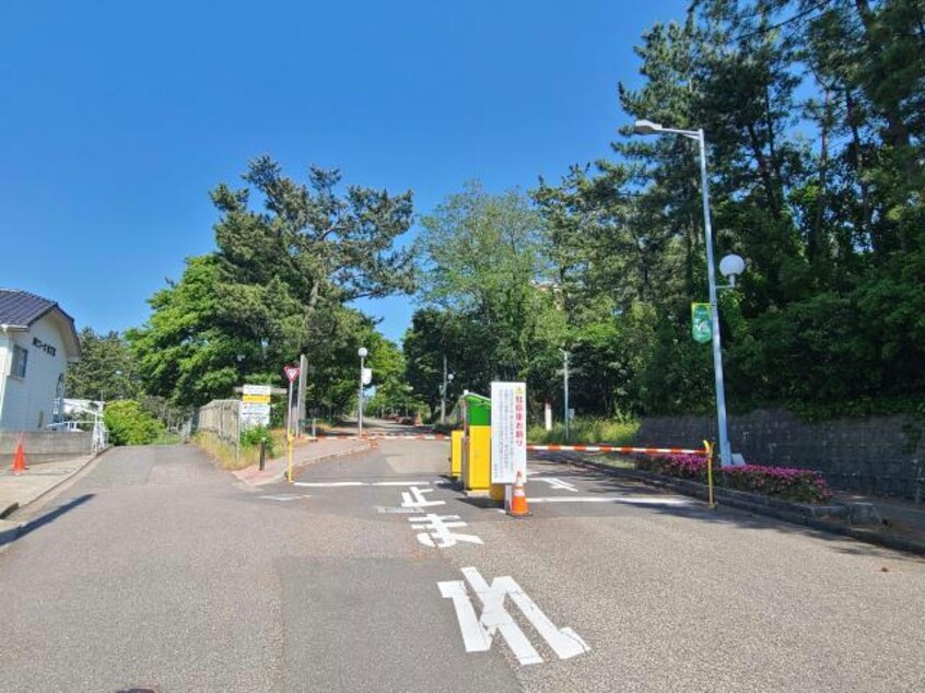 国立新潟大学北門(大学/短大/専門学校)まで573m ハイツ新生