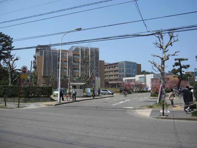 国立新潟大学西門(大学/短大/専門学校)まで556m ハピネス21