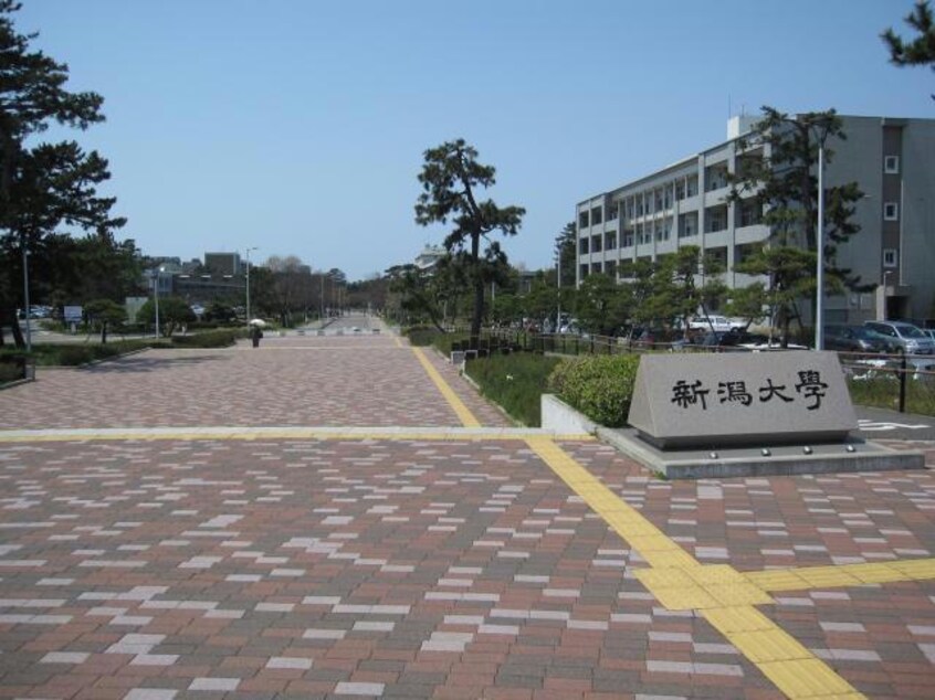 国立新潟大学正門(大学/短大/専門学校)まで480m 野島ハイツⅡ