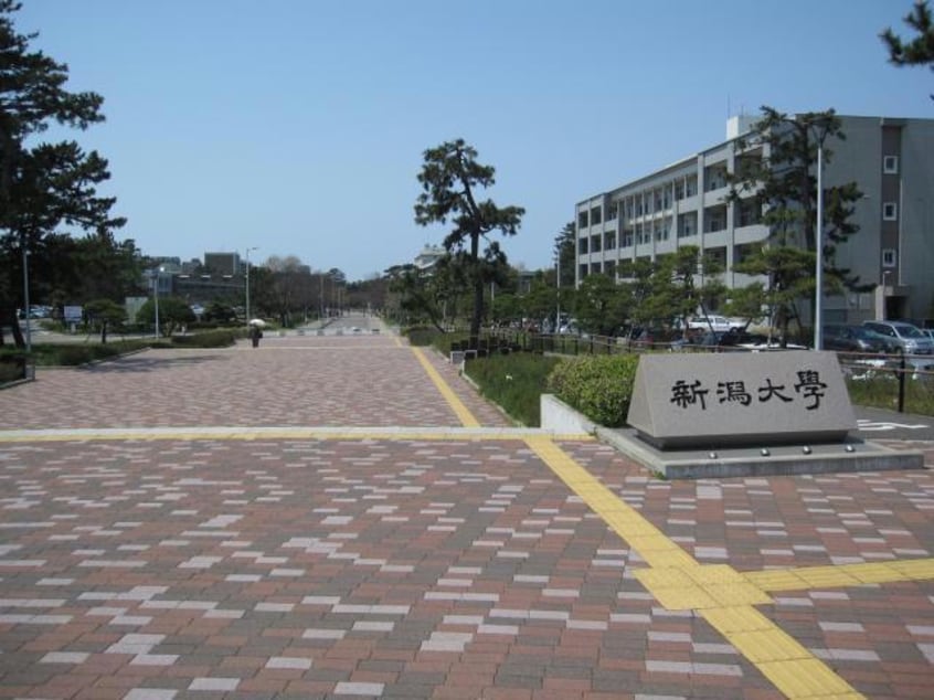 国立新潟大学正門(大学/短大/専門学校)まで556m ビューハイツＢ