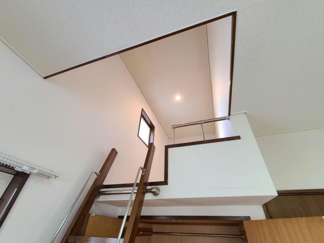 ロフト マルベリー