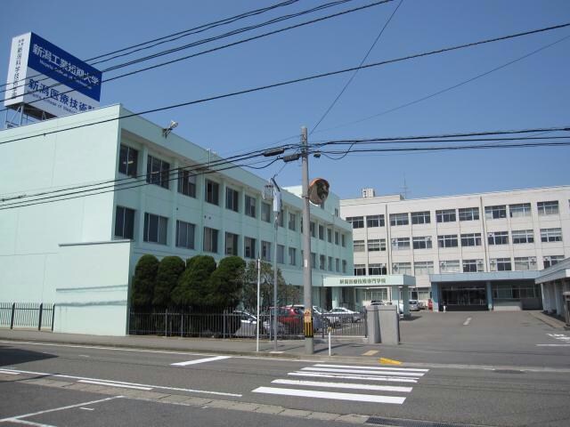 新潟工業短期大学(大学/短大/専門学校)まで1110m ハイツシーガル