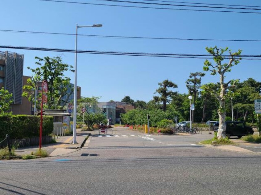 国立新潟大学西門(大学/短大/専門学校)まで604m シャンポール