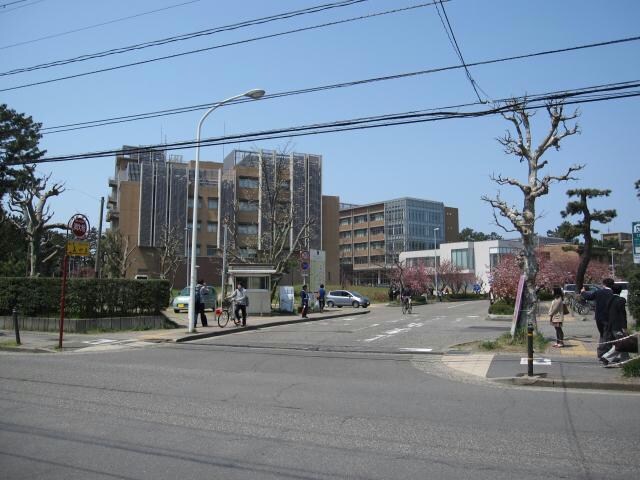 国立新潟大学西門(大学/短大/専門学校)まで480m パインハウス