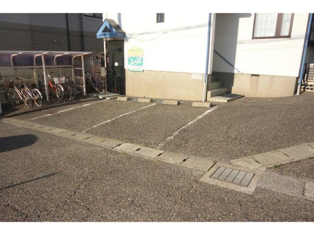  ホワイトバーチ