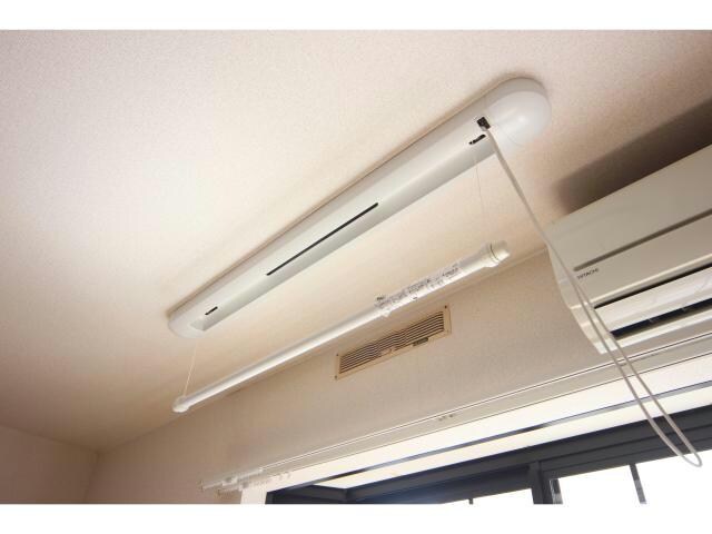  ホワイトバーチ