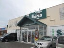 Seria生活良品新潟大学前店(ディスカウントショップ)まで216m コーポピープルⅡ