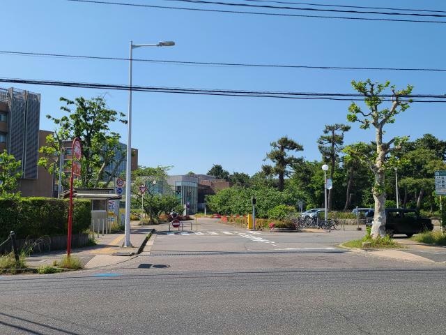 国立新潟大学西門(大学/短大/専門学校)まで283m ユーカリ