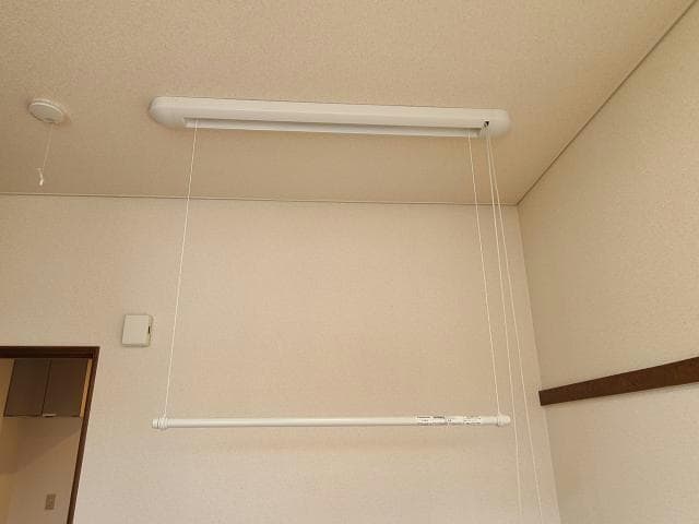  ハイツルピナス