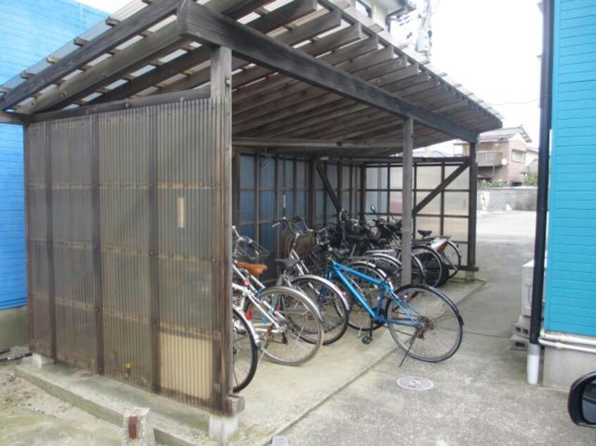  ラベンダー