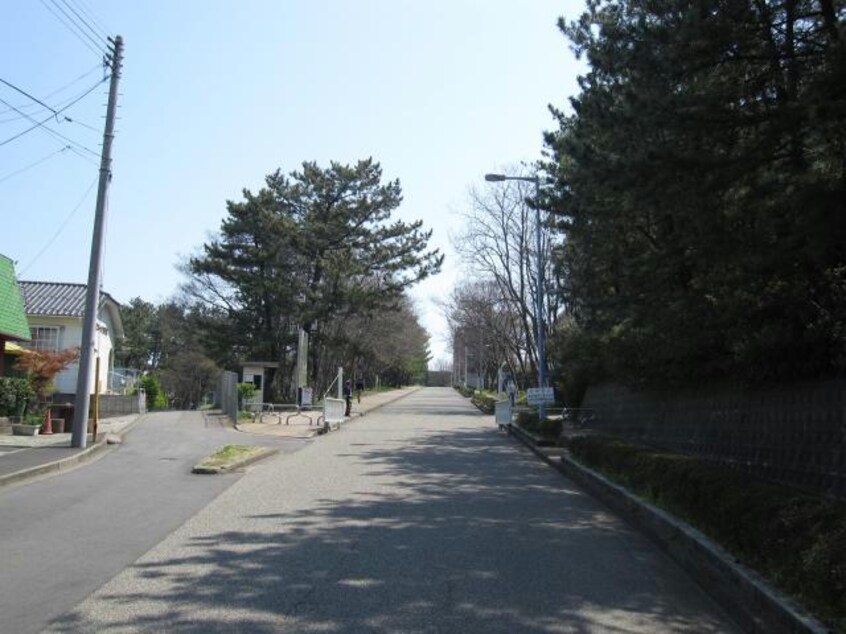国立新潟大学北門(大学/短大/専門学校)まで1104m ラベンダー