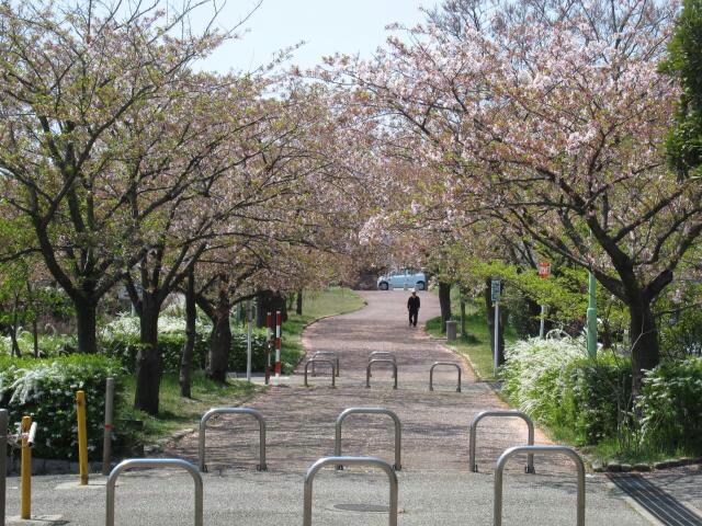 寺尾中央公園(公園)まで242m コーポ佐々木