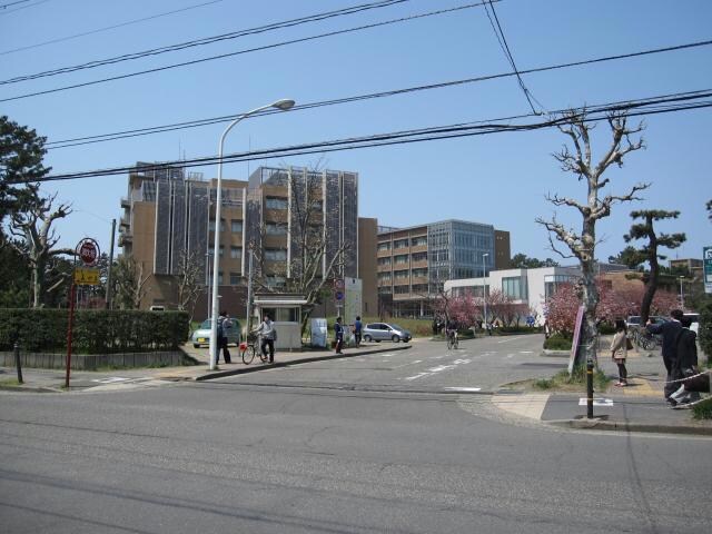 国立新潟大学西門(大学/短大/専門学校)まで238m ベルピア
