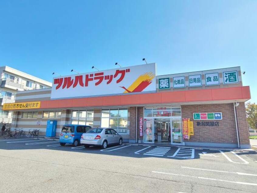 ツルハドラッグ新潟関屋店(ドラッグストア)まで225m エルピス