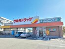 ツルハドラッグ新潟関屋店(ドラッグストア)まで225m エルピス