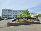 新潟市立小針小学校(小学校)まで1086m 小針関貸家
