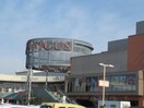 UNICUS上里(ショッピングセンター/アウトレットモール)まで1218m 小島ハイツ
