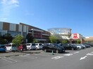 ベルク上里SC店(スーパー)まで1130m ジュピター