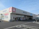 ウエルシア本庄万年寺店(ドラッグストア)まで668m オリオン