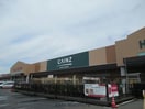 カインズスーパーセンター上里本庄店(電気量販店/ホームセンター)まで2416m メゾン那由多Ｂ
