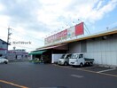 業務用食品スーパー出雲店(スーパー)まで410m スターハイツ