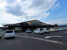 ラピタみなみ店(スーパー)まで1208m ブランドールＴＳ