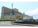 島根県立中央病院(病院)まで1208m マイネル中野B棟