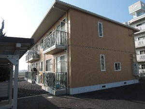 アムールヒロ