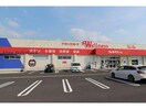 ドラッグストアウェルネス神門店(ドラッグストア)まで577m ハイグランディ知井宮