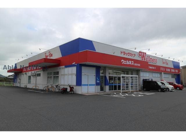 ドラッグストアウェルネス出雲大社店(ドラッグストア)まで545m グランディールⅡ　