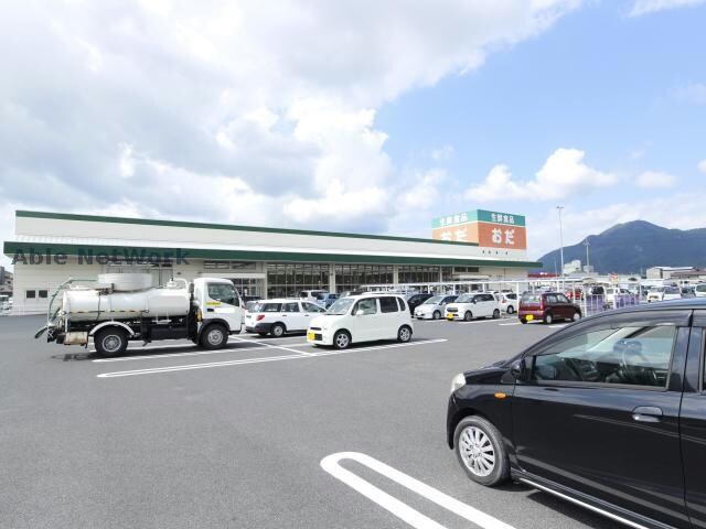 生鮮食品おだ出雲店(スーパー)まで967m シェリール