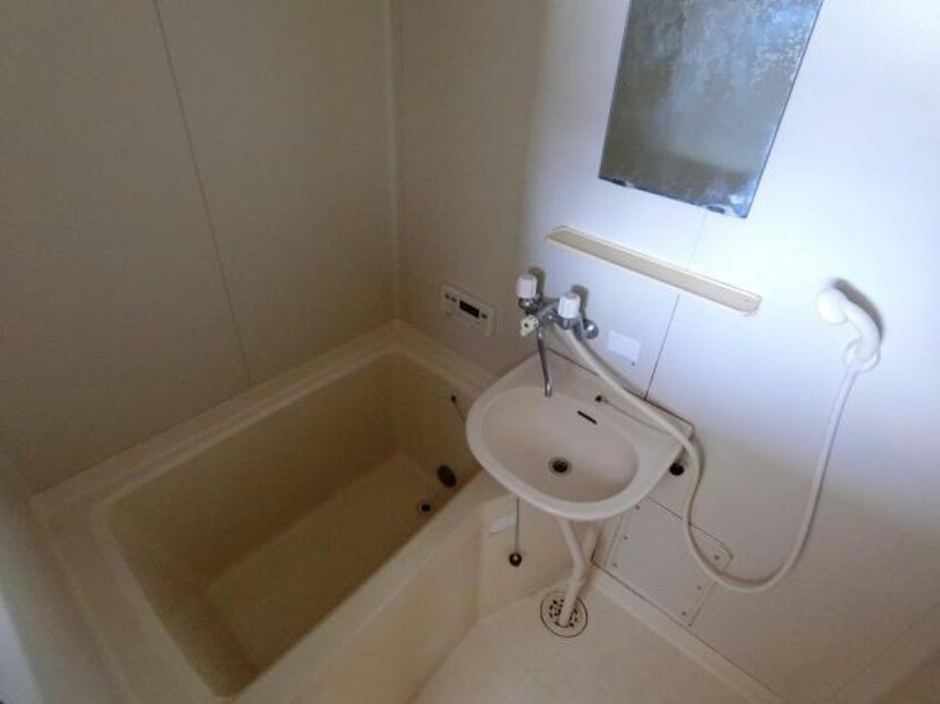  キャットハウスⅤ