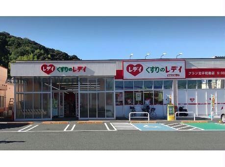 くすりのレデイグラン北宇和島店(ドラッグストア)まで863m 咲ハイツ