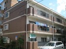 予讃線・内子線/宇和島駅 徒歩10分 2階 築32年の外観